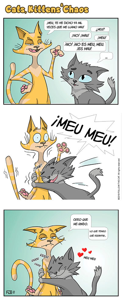 Tira-comica-instacats